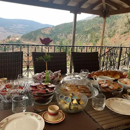 Pallas Agios Georgios (Trikala)