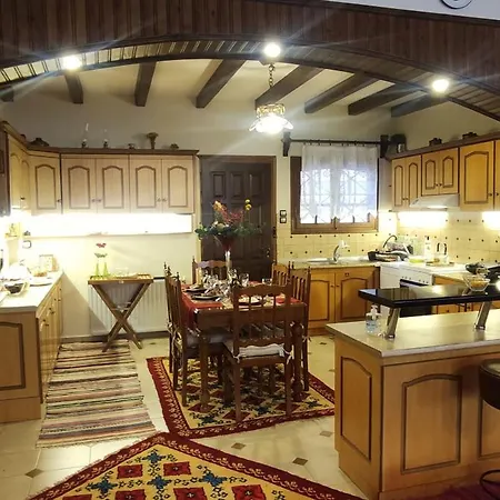 Villa Pallas Agios Georgios (Trikala)