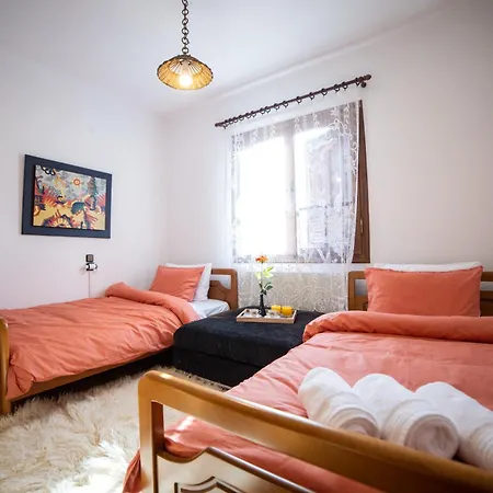 Pallas * Agios Georgios (Trikala)