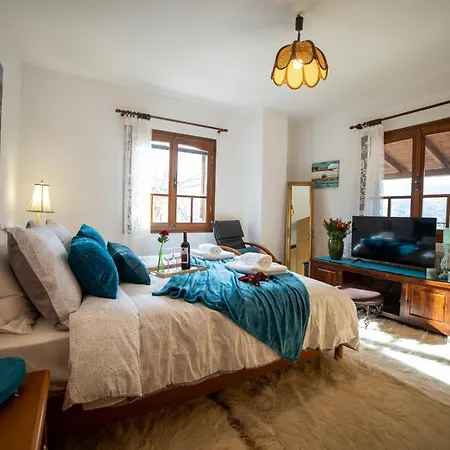 Pallas Villa Agios Georgios (Trikala)