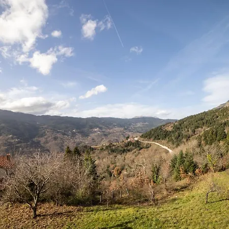 Pallas * Agios Georgios (Trikala)