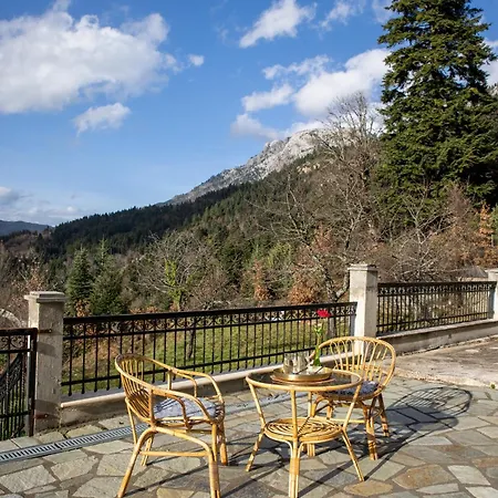 Pallas * Agios Georgios (Trikala)