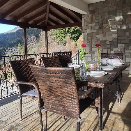 Pallas Agios Georgios (Trikala)